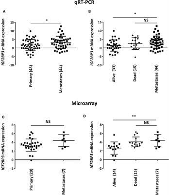 Insulin-Like Growth Factor 2 mRNA-Binding Protein 3 Modulates Aggressiveness of Ewing Sarcoma by Regulating the CD164-CXCR4 Axis